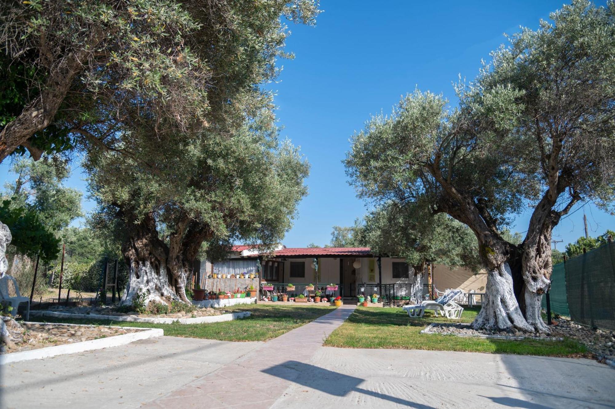 Dimitra'S Apartment Makri Exterior photo